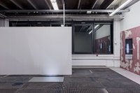 <p>Exhibition view, <em>A stream with bright fish</em>, 2015<br />
Taylor Macklin, Zurich, CH<br />
Image: Gina Folly</p>