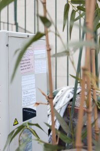 <p><em>Untitled (Alibaba) I</em>, 2017<br />
C-Print, framed, 90 x 60 cm</p>