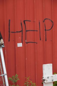 <p><em>Untitled (Alibaba) V</em>, 2017<br />
C-Print, framed, 90 x 60 cm</p>